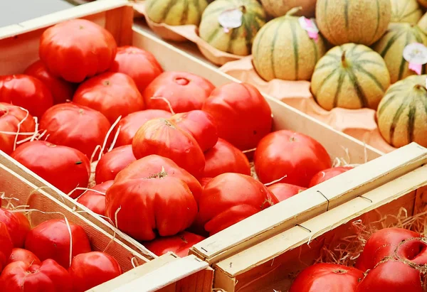 Beef heart tomatoes and melon charentais on bakckground — Stock Photo, Image