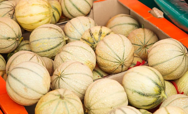 Charentais melons at farmer's market — Stock Photo, Image