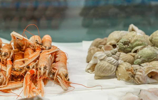 신선한 바닷가재와 시장에서 판매를 위한 얼음에 whelks — 스톡 사진