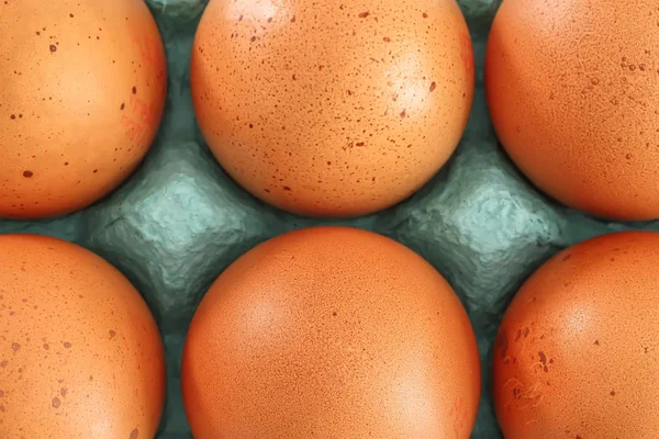 Vista della scatola aperta di uova di pollo per il mercato — Foto Stock