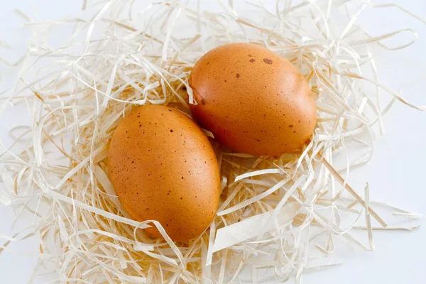 Primo piano su uova fresche in un nido su sfondo bianco — Foto Stock