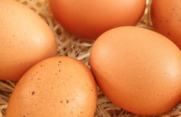 对新鲜的鸡蛋，在巢中的特写 — 图库照片