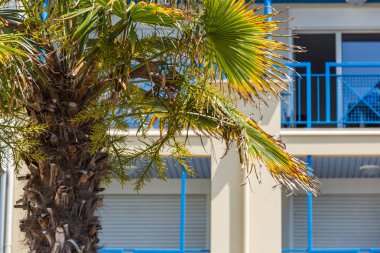 Modern apartmanlar dış güneşli gün