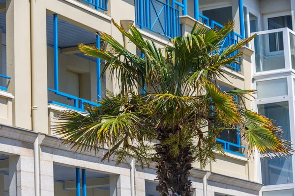 Modern apartment buildings exteriors in sunny day — Stock Photo, Image