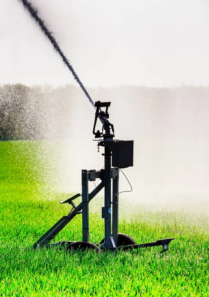 Impianto di irrigazione ad acqua in un campo di mais — Foto Stock