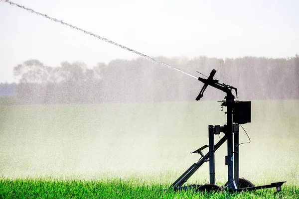 Water sprinkler installation in a field of maize — Stock Photo, Image