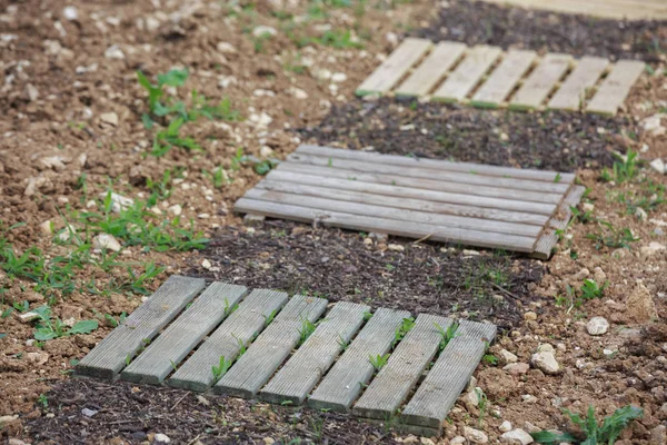 Slab houten loopbrug in stad tuin — Stockfoto