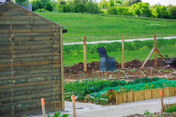 Ecological town garden with green plantation growing — Stock Photo, Image