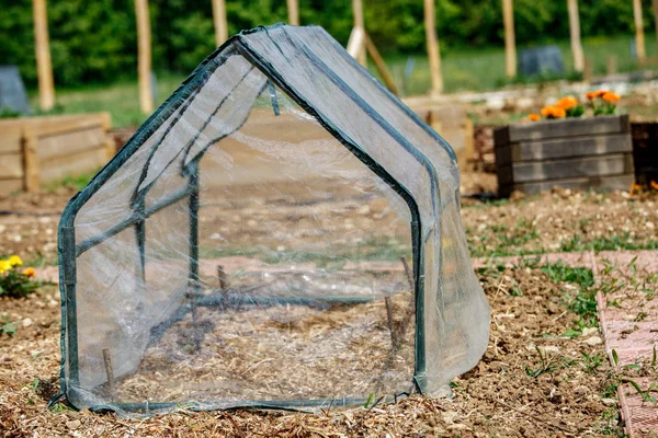 Small greenhouse for vegetable seedlings in the spring garden — Stock Photo, Image