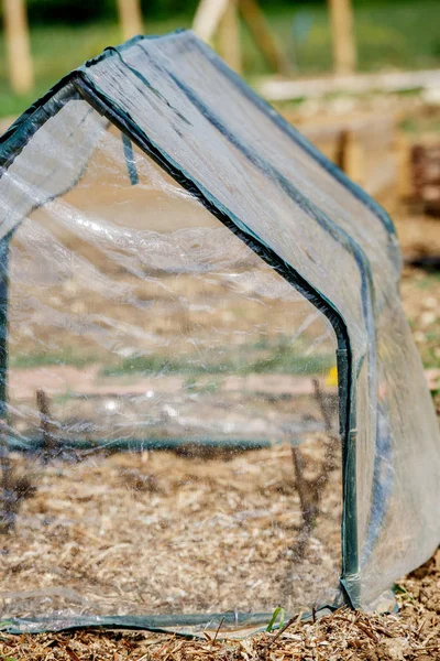 春の庭で野菜苗の小さな温室 — ストック写真