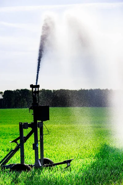 Impianto di irrigazione ad acqua in un campo di mais — Foto Stock