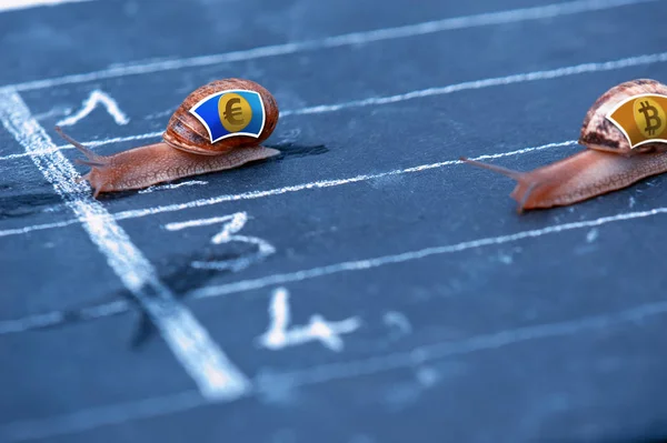 Snails race currency metaphor about Euro against Bitcoin — Stock Photo, Image