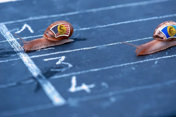 Snails race currency metaphor about US Dollar against Euro — Stock Photo, Image