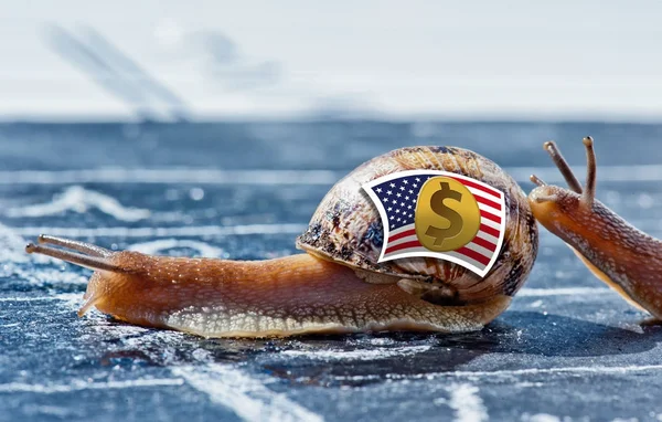 Snail with the colors of US dollar currency flag encouraged by another — Stock Photo, Image