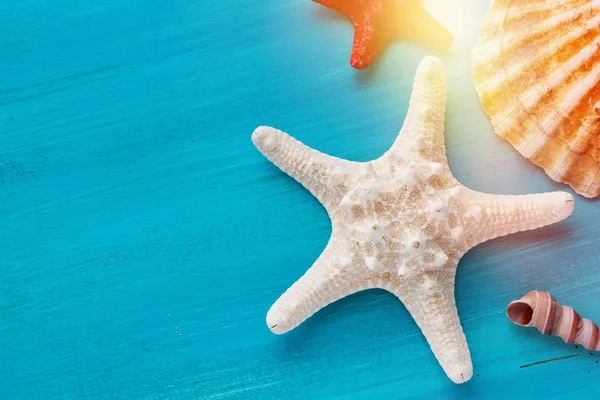 Borde de esquina de verano de conchas de mar vieira y peces estrella sobre fondo de madera azul —  Fotos de Stock