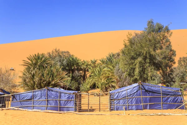 Cabanes de tente dans le désert — Photo