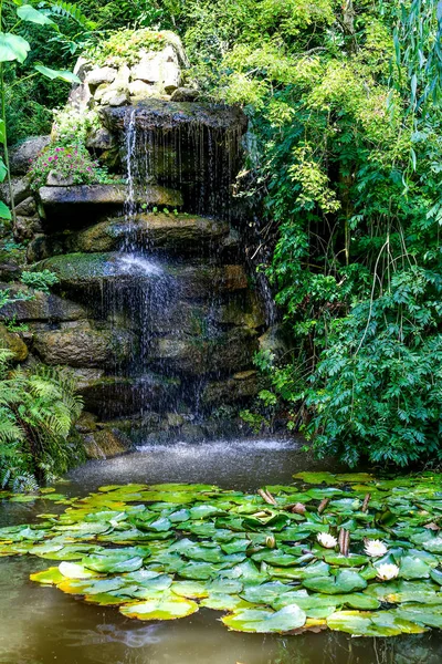 Almofadas Lilly com lótus no lago — Fotografia de Stock