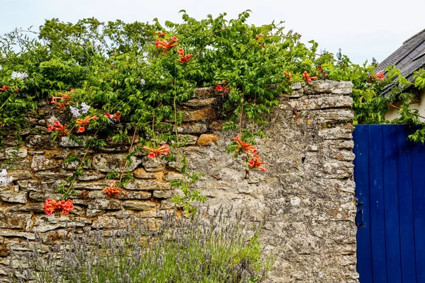 Hausfassade mit Blumen — Stockfoto