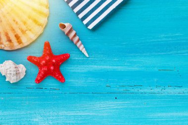 Deniz kabukları, deniz tarakları ve mavi ahşap arka planda yıldız balıkları.