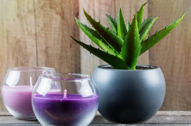 Bitki ve ağaç arka planda ile dekoratif mumlar. Güzellik Spa sağlık ve sağlıklı yaşam konsepti.