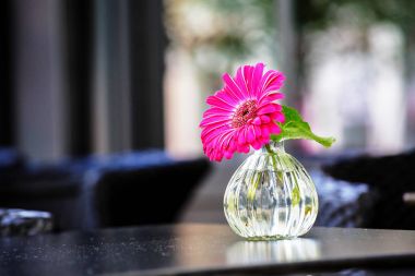 Gerbera çiçekleri siyah tablo açık havada cam vazoda pembe