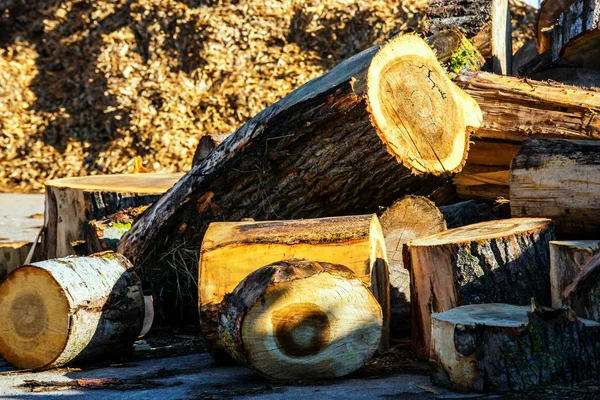Verwerkte houtafval en houtkrullen — Stockfoto