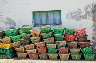 İstiridye kabukları ile dolu renkli atık plastik tepsi