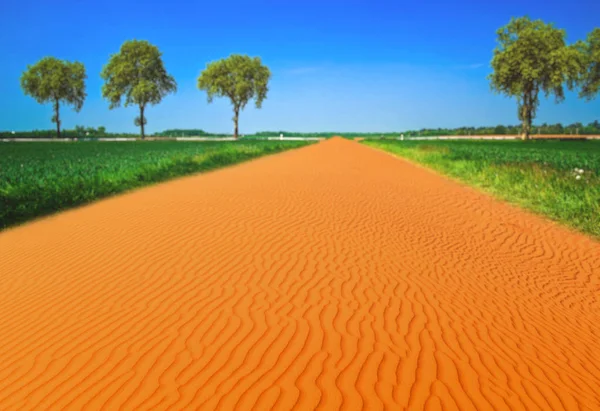 Assembleia imaginária representando o deserto e o campo verde — Fotografia de Stock