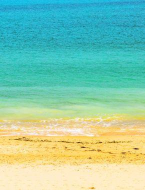 Plaj ve güzel tropikal deniz