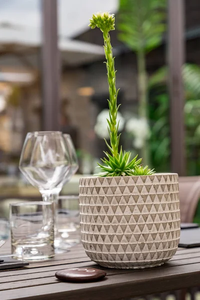 Posate di un tavolo da ristorante gourmet con verde sullo sfondo — Foto Stock