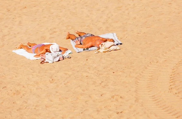 Pareja mayor Relajándose en la playa —  Fotos de Stock