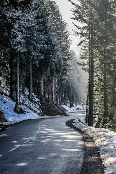 Schneebedeckte Bergstraße mit Tannen gesäumt — Stockfoto