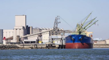 Toplu taşıyıcı kargo gemisi 