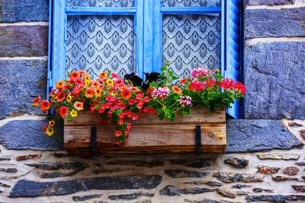 Flower pot placed at the window of old house — Stock Photo, Image