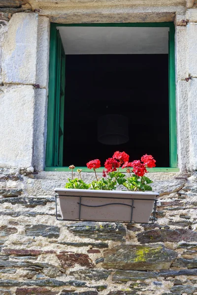 Flower pot placed at the window of old house — Stock Photo, Image