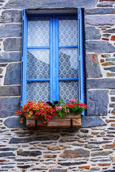 Flower pot placed at the window of old house — Stock Photo, Image