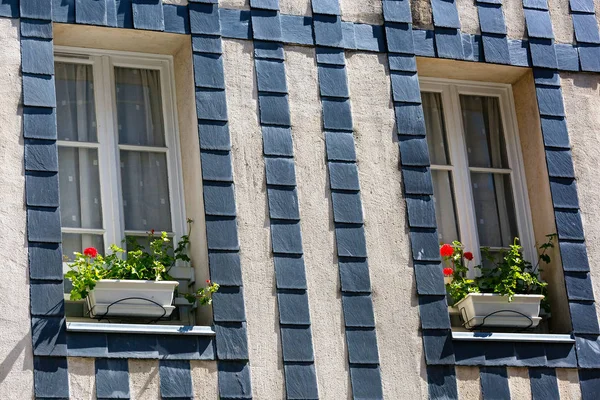 Flower pot placed at the window of old brittany house — Stock Photo, Image