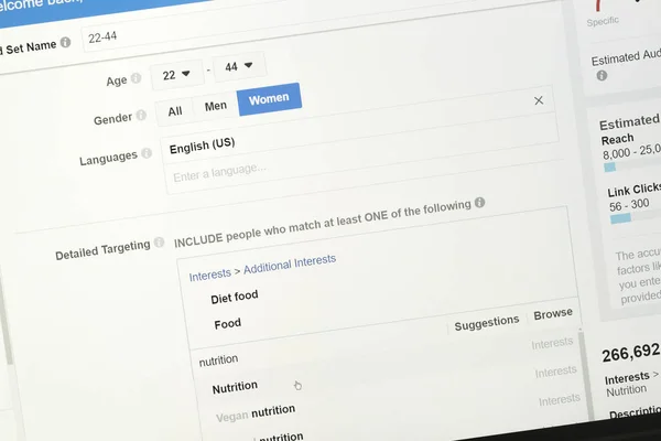 Facebook'ta bir reklam kampanyası oluşturma formundaki dinleyiciye detay