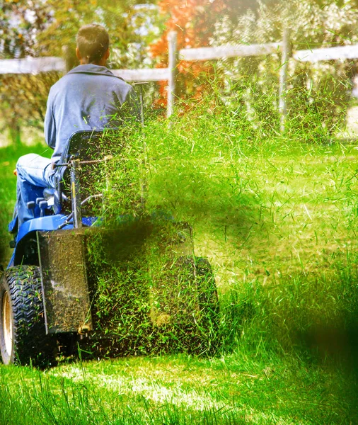 Back view of a man sitting on his lawn tractor mowing his lawn i — Stock Photo, Image