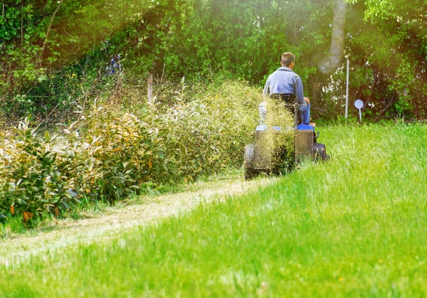 Vista trasera de un hombre sentado en su tractor de césped cortando su césped en tiempo soleado —  Fotos de Stock