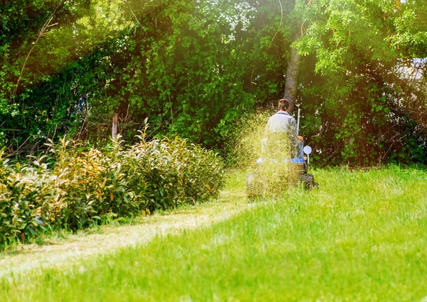 Задний вид человека, сидящего на газоне, стригущего газон в солнечную погоду — стоковое фото