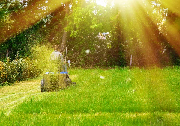 Vista trasera de un hombre sentado en su tractor de césped cortando su césped en tiempo soleado —  Fotos de Stock