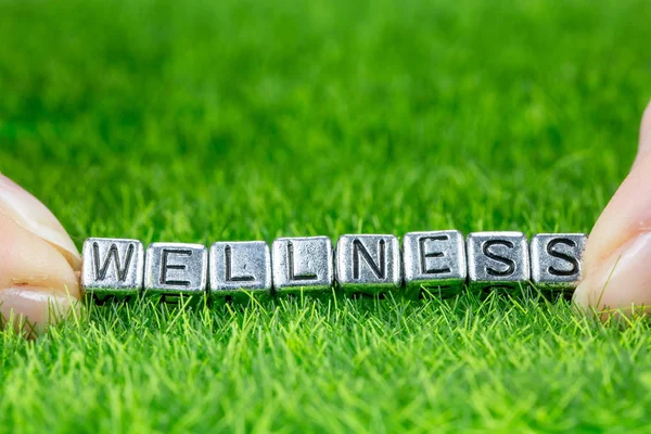Word WELLNESS written in metal letters laid on grass and held between the fingers of a woman. Concept of wellness background