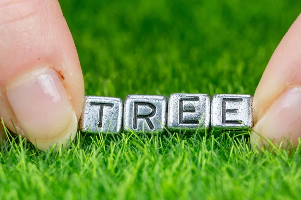 Wortbaum in Metallbuchstaben auf Gras gelegt und zwischen den Fingern einer Frau gehalten. Konzept der Biodiversität — Stockfoto