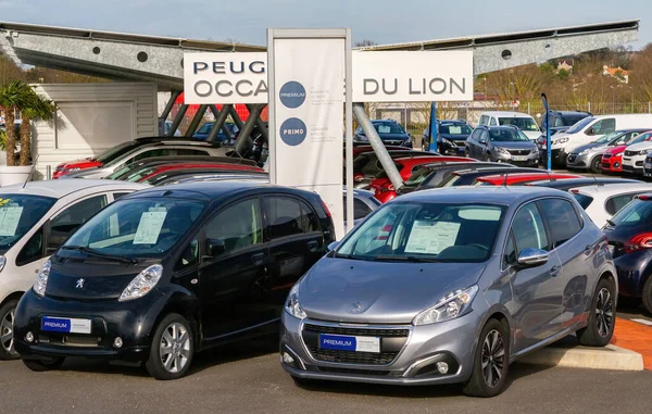 Koňak Francie Února 2020 Prezentace Nového Sortimentu Elektromobilů Názvem Peugeot — Stock fotografie