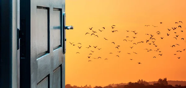 Concepto Puerta Abierta Con Puesta Sol Sobre Paisaje Rural Con — Foto de Stock