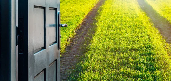 Concetto Porta Aperta Con Campo Grano Verde Sullo Sfondo — Foto Stock