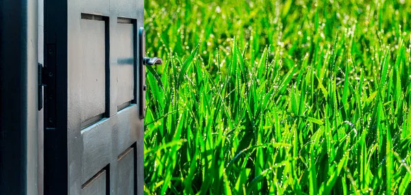 Conceito Porta Aberta Com Campo Trigo Verde Úmido Fundo — Fotografia de Stock