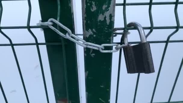 Зеленая дверь решетки, закрытая на цепи с замком сарая, пытается открыть. Зима. Гримли . — стоковое видео