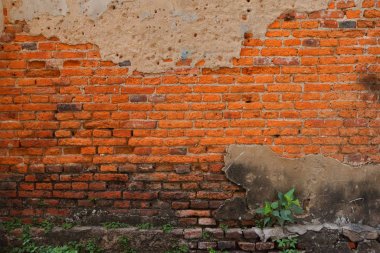Wall bir tuğla